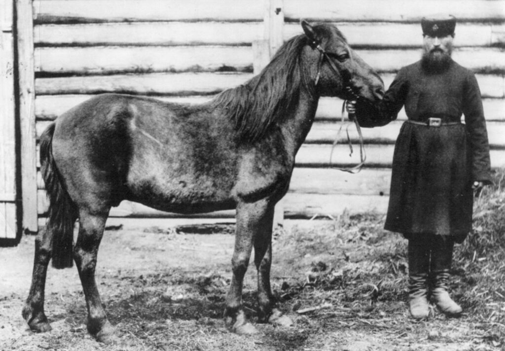 The Dire Wolf Was Just the Beginning: Scientists are Reviving These 30 Extinct Species Next