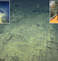 The Yellow Brick Road and 29 Other Ocean Enigmas That Leave Scientists Speechless