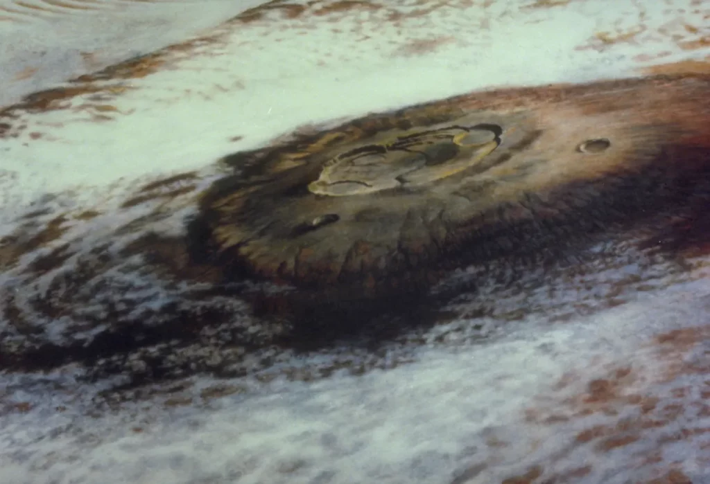 NASA Researchers Discover What Happened to Mars&#8217; Water