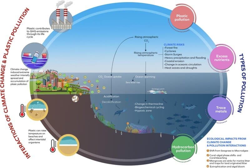 Unlocking the Secrets: How Deep-Sea Exploration is Redefining Climate Science