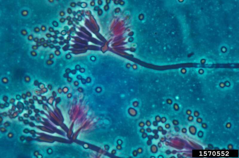 32 Times Deadly Poison Became Your Life-Saving Medication