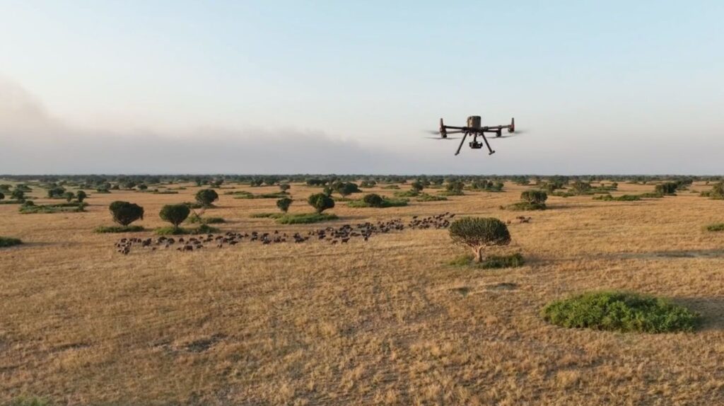 From Pizza Delivery to Brain Surgery: The Insane New Ways Drones Are Changing Everything