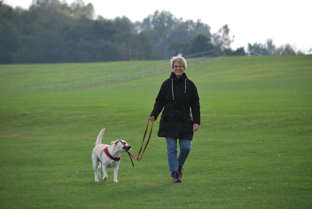 How long should I walk my dog? And how often? Tips to keep your pup healthy.