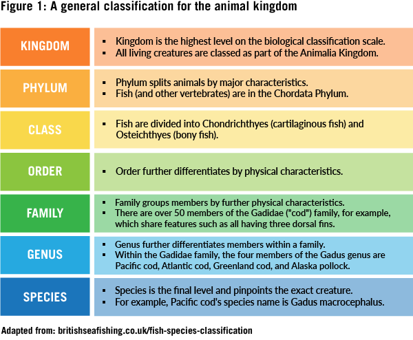 Scientists Discover Unknown Lifeform They Are Unable to Explain