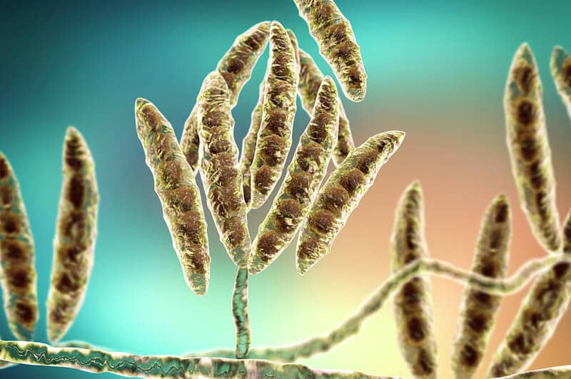 32 Times Deadly Poison Became Your Life-Saving Medication