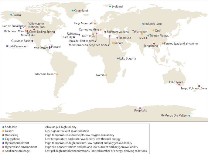 Scientists Discover Unknown Lifeform They Are Unable to Explain