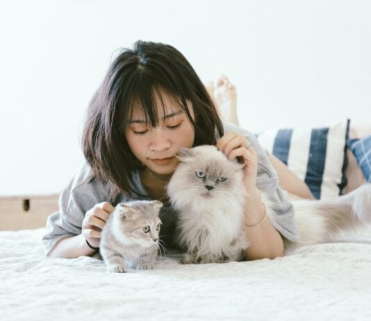 15 Behaviors That Show Your Cat Has Chosen You as Its Family and 5 You Need To Be Concerned About