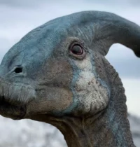 25 of the Craziest Scientific Mysteries Finally Cracked by Technology