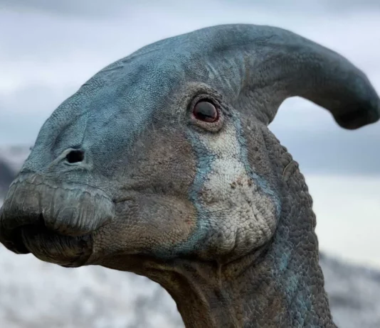 25 of the Craziest Scientific Mysteries Finally Cracked by Technology
