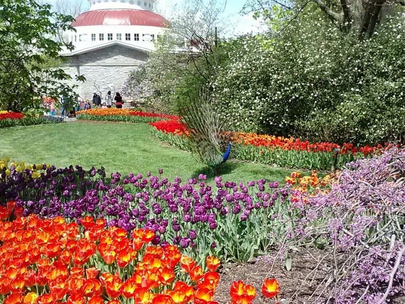 12 Zoos Leading the Way in Conservation Science