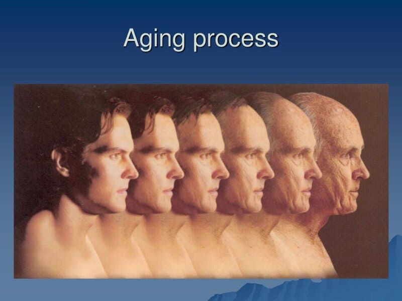 Scientists Confirm: Intelligence Comes From Mothers, Height From Fathers