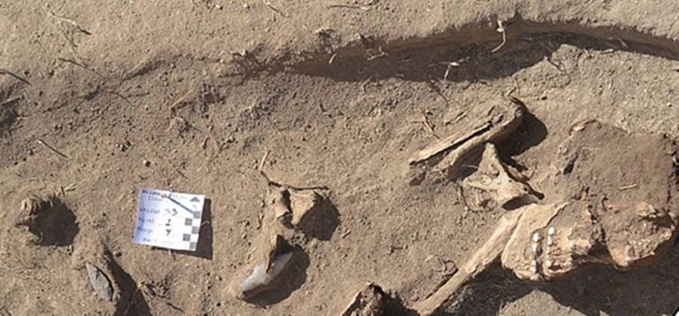 Archaeologists Uncover The Remains Of A Teenage Girl Who Hunted Big Game 9,000 Years Ago