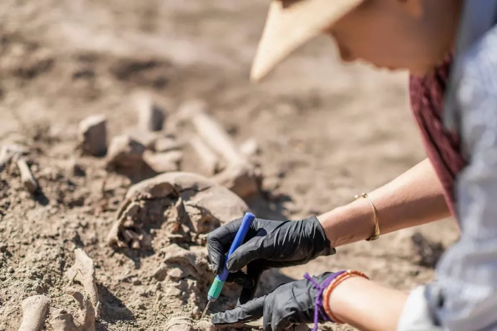 Archaeologists Uncover The Remains Of A Teenage Girl Who Hunted Big Game 9,000 Years Ago