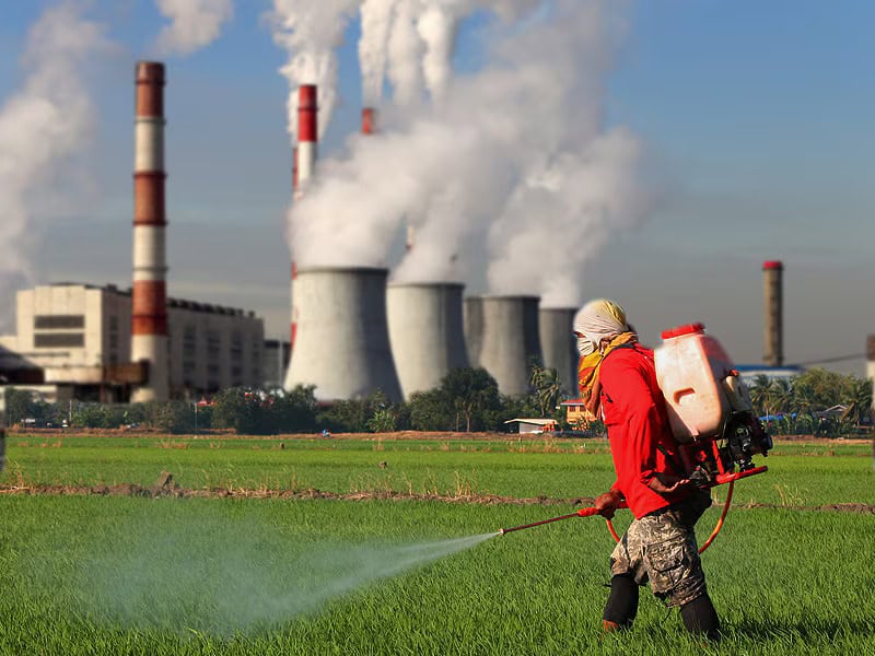 Shocking Study Reveals Simple Lifestyle Changes Could Slash Cancer Deaths by 50%