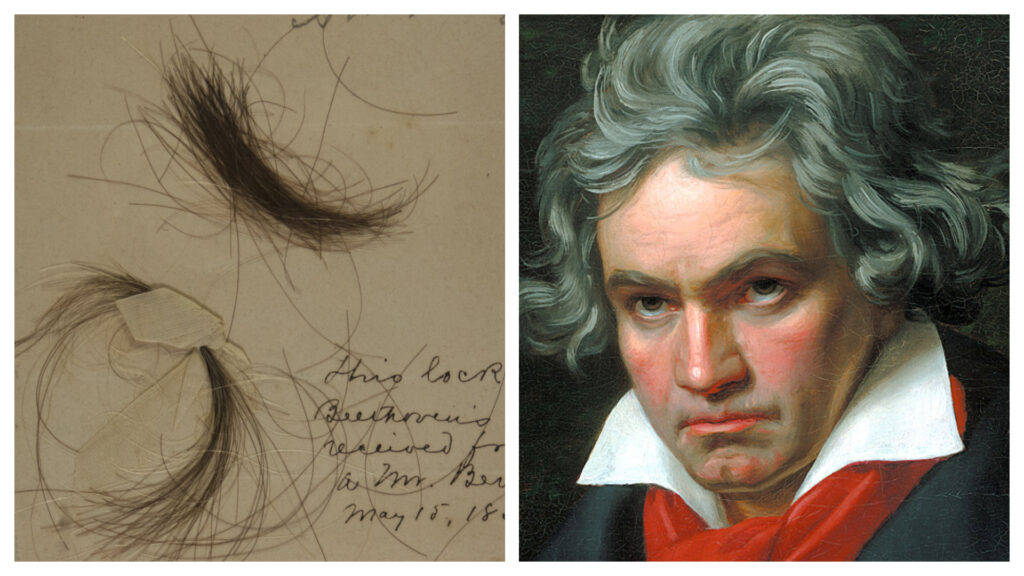 25 of the Craziest Scientific Mysteries Finally Cracked by Technology