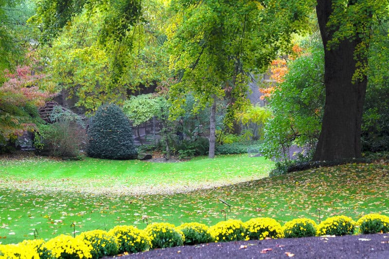 12 Zoos Leading the Way in Conservation Science