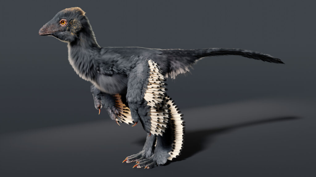 Revolutionary DNA Study Proves Your Chicken Is Actually A Shrunken T-Rex