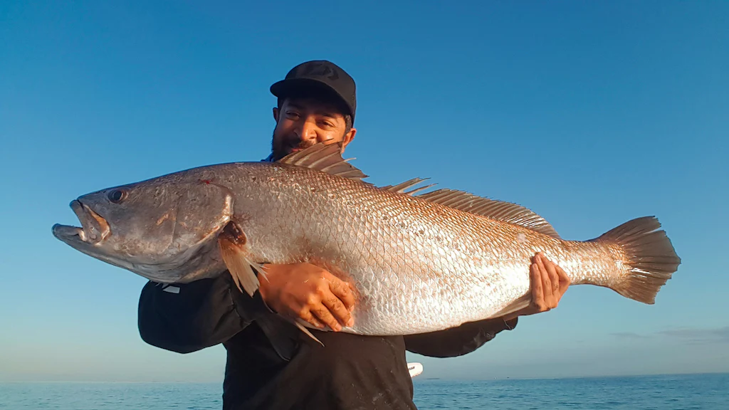 38 Weird and Fascinating Animals You Will Only Find in Australia