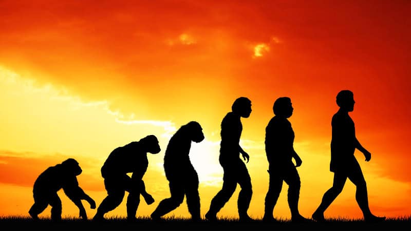 30 Bits of STEM Trivia That Mad Scientists Have Forcibly Extracted From the Universe