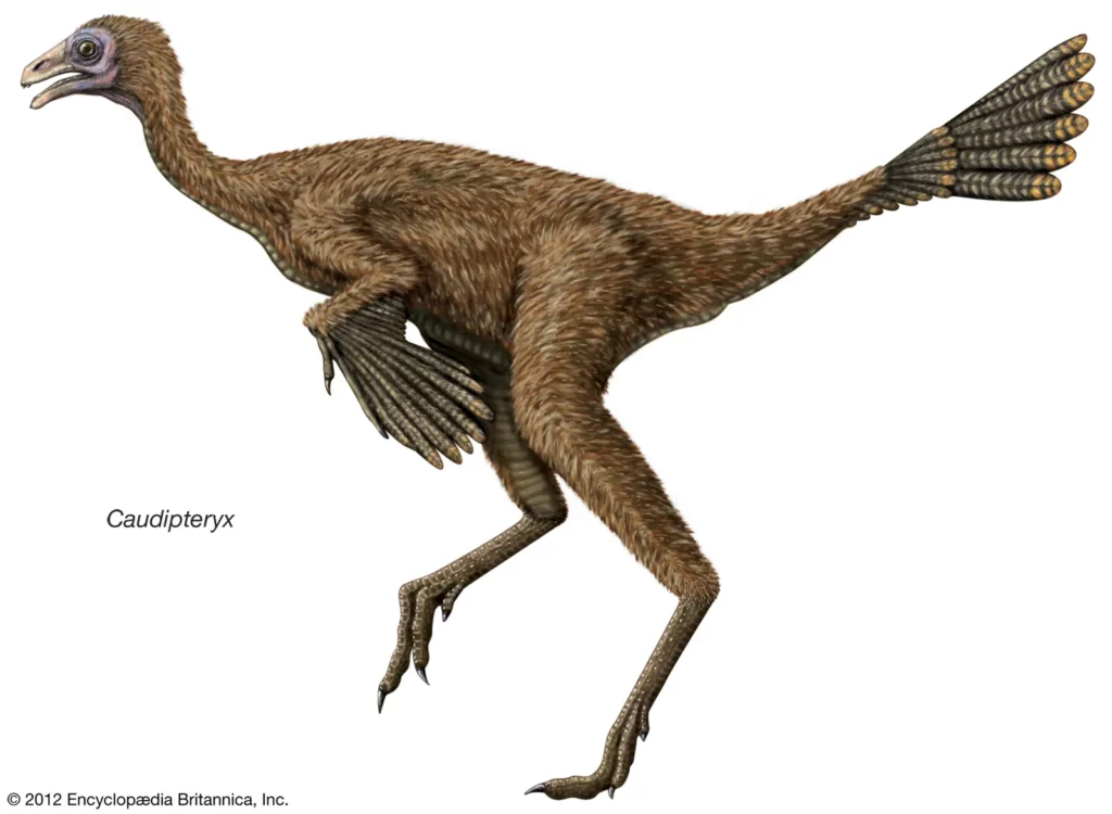 Revolutionary DNA Study Proves Your Chicken Is Actually A Shrunken T-Rex