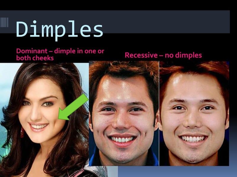 Scientists Confirm: Intelligence Comes From Mothers, Height From Fathers