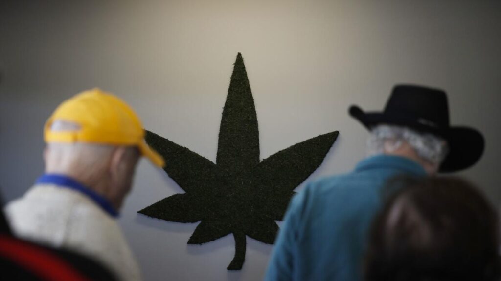 More people aged 60+ are trying out cannabis. Here’s everything you need to know about the risks and benefits