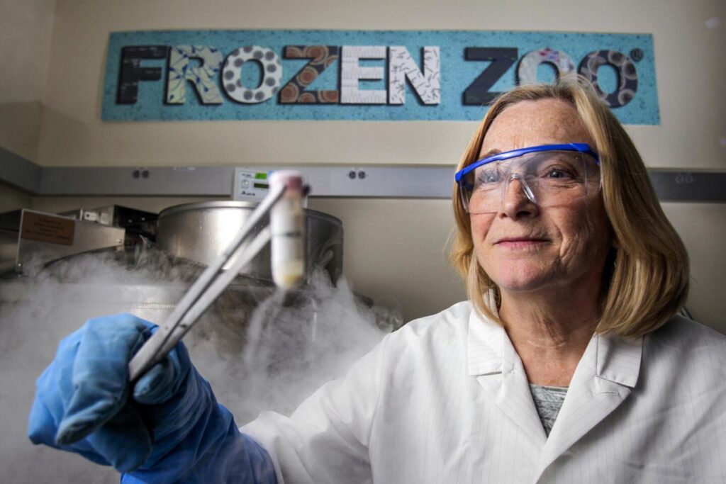 12 Zoos Leading the Way in Conservation Science