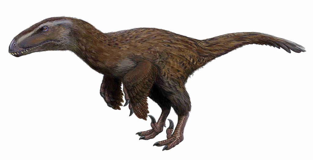 Revolutionary DNA Study Proves Your Chicken Is Actually A Shrunken T-Rex