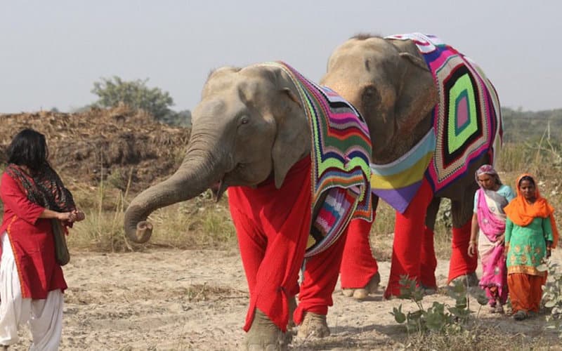 Are Scientists Reconsidering Reincarnation? 23 Cases They Can’t Ignore