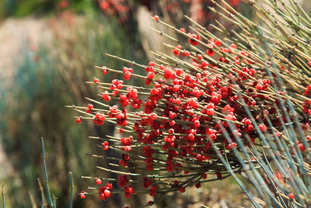 32 Times Deadly Poison Became Your Life-Saving Medication