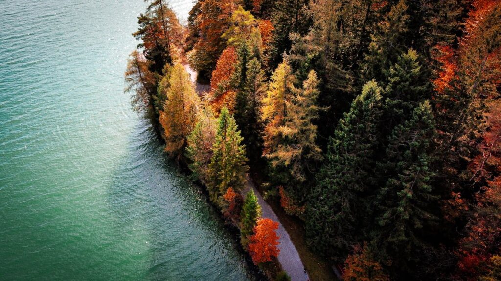 We Must Save Earth&#8217;s Wildlife In Order to Save Ourselves