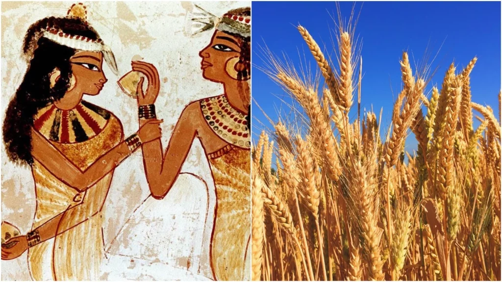 30 Superstitions That Science Has Proven True (Ranked)