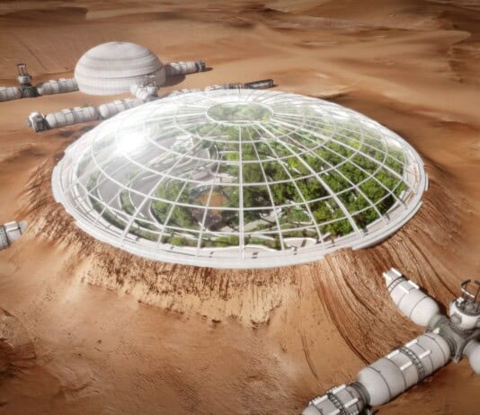 27 Tiny Creatures That Could Help Humans Colonize Mars