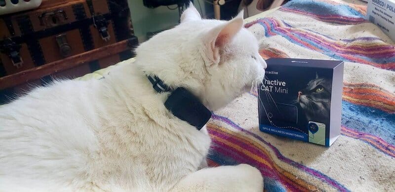 20 Essential Tools for Managing a Harmonious Multi-Pet Home in 2025