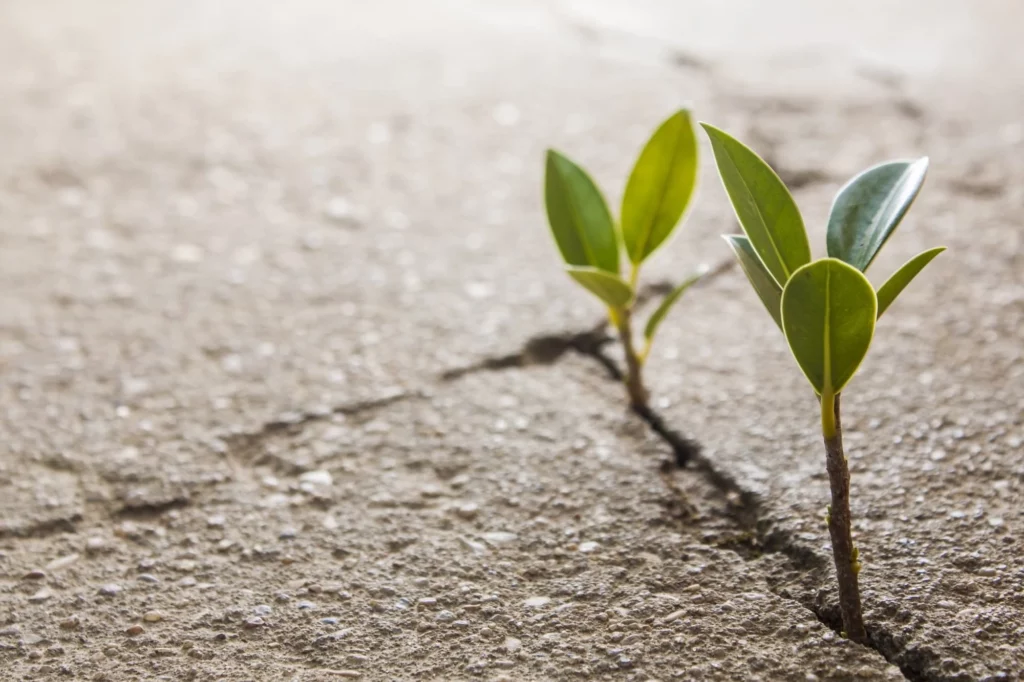 Life lessons from 100-year-old Americans who didn&#8217;t expect to live so long