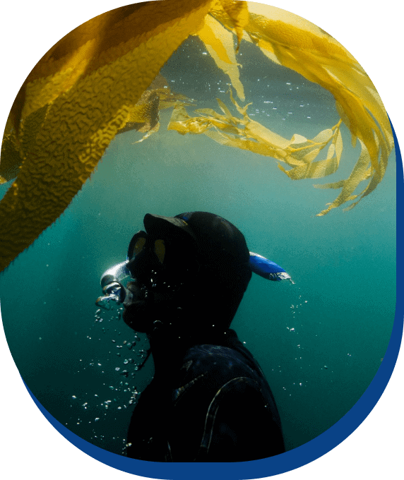 Unlocking the Secrets: How Deep-Sea Exploration is Redefining Climate Science