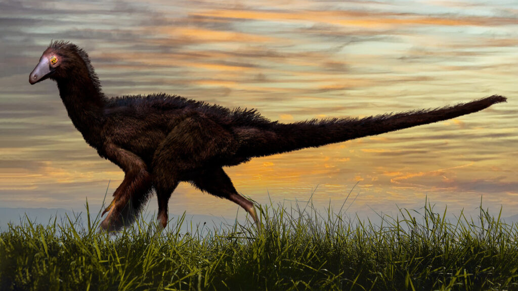 Revolutionary DNA Study Proves Your Chicken Is Actually A Shrunken T-Rex