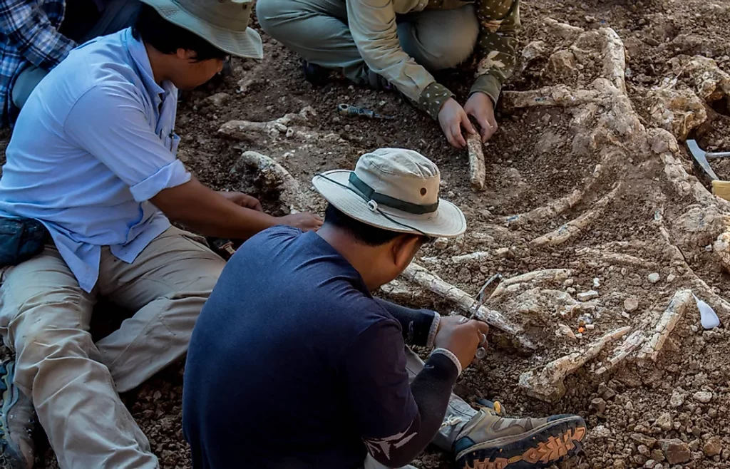 Archaeologists Uncover The Remains Of A Teenage Girl Who Hunted Big Game 9,000 Years Ago