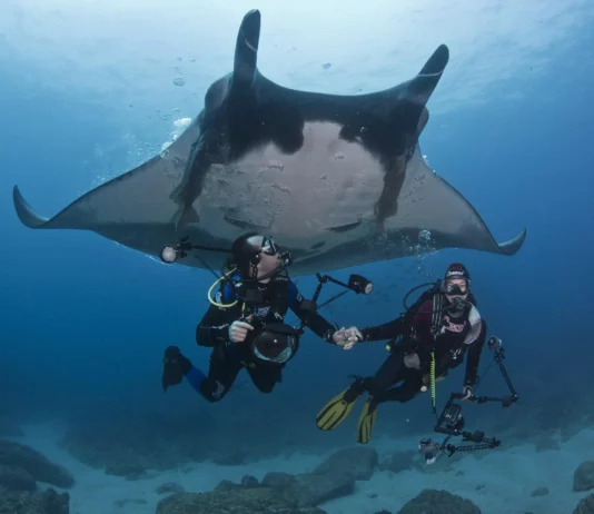 33 Scary-Looking Creatures That Are Surprisingly Friendly