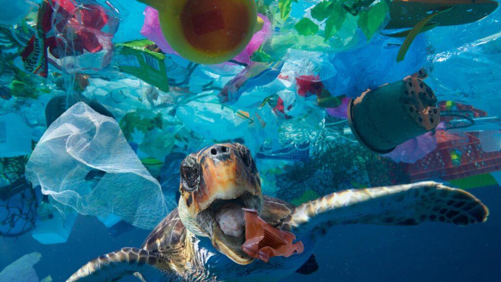 Are Humans Accidentally Creating Super-Resistant Wildlife?