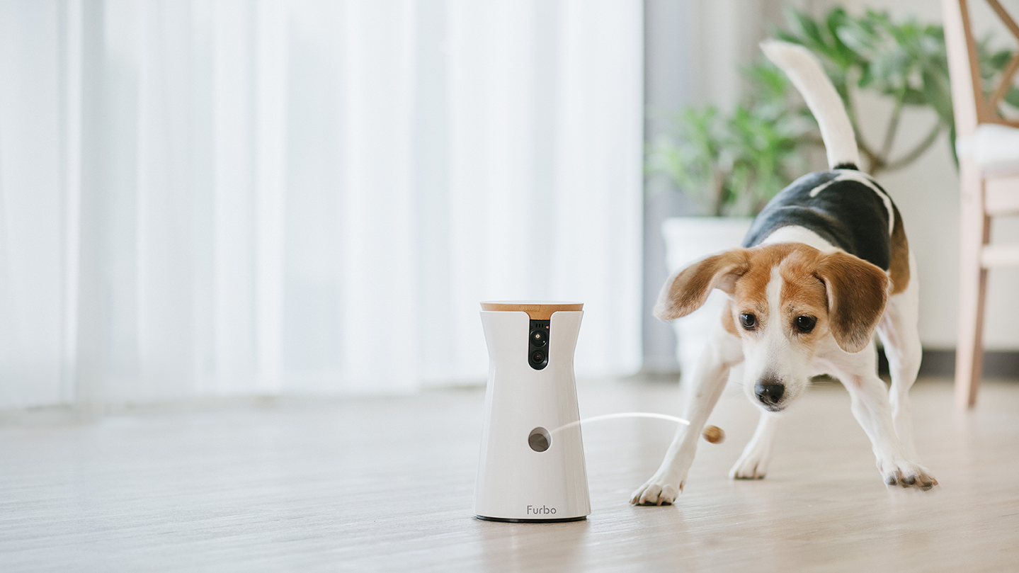 20 Essential Tools for Managing a Harmonious Multi-Pet Home in 2025