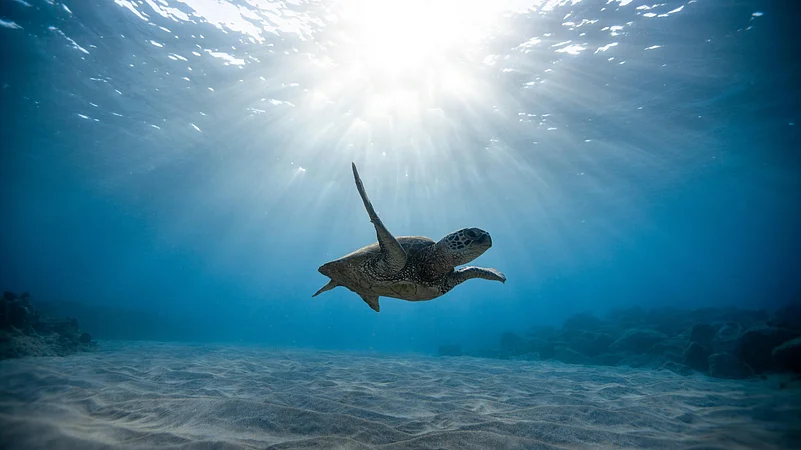 Unlocking the Secrets: How Deep-Sea Exploration is Redefining Climate Science