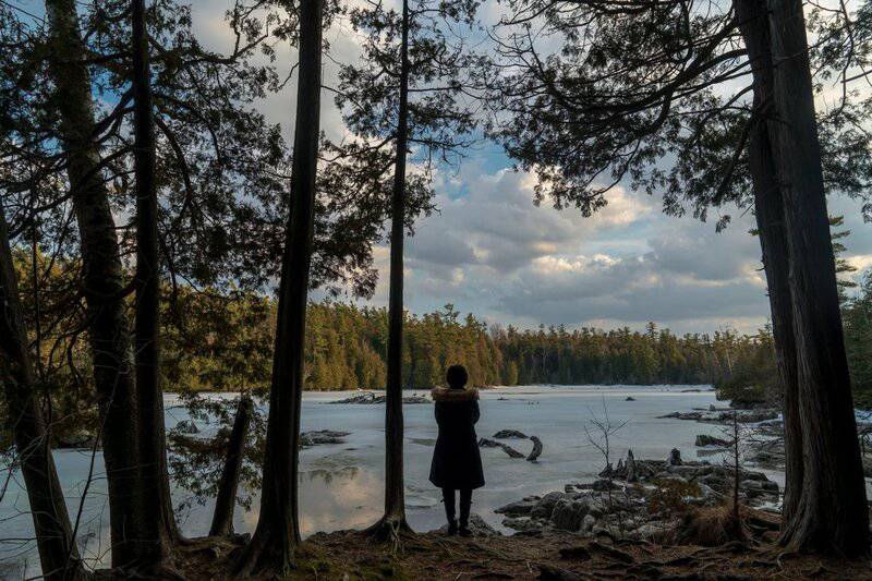 How to Survive a Wolf Attack