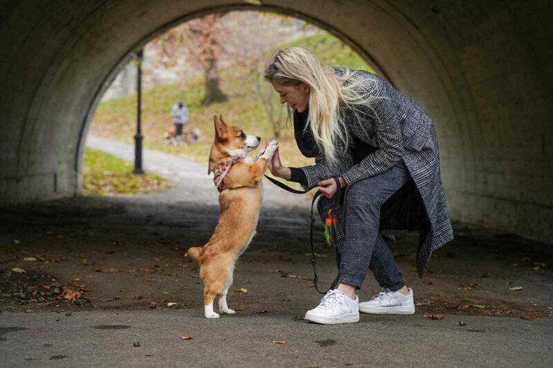 How long should I walk my dog? And how often? Tips to keep your pup healthy.