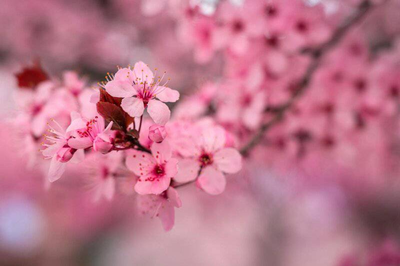 Most Livable City in Every State and What It Will Cost You