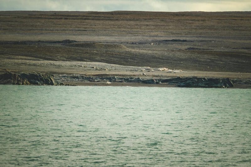 Experts Warn: 2025&#8217;s First Heat Wave Could Break Records and Send People to Hospitals