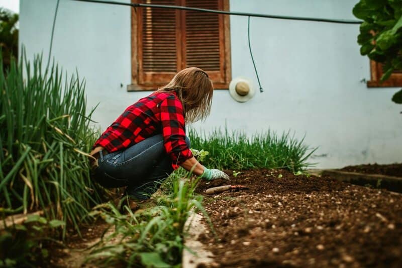 25 Things You Should Do To Cut Your Microplastics Intake Everyday