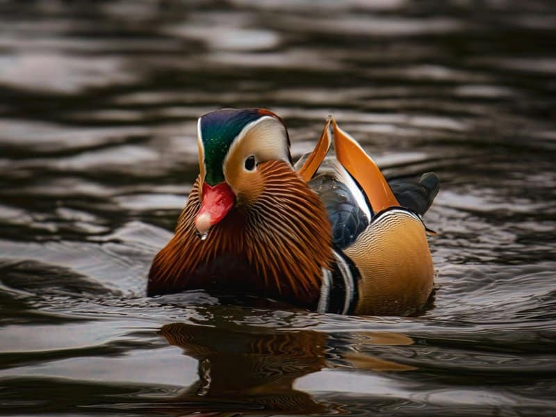 Africa is Literally Splitting in Half &#8211; Here&#8217;s What Scientists Say Will Happen Next