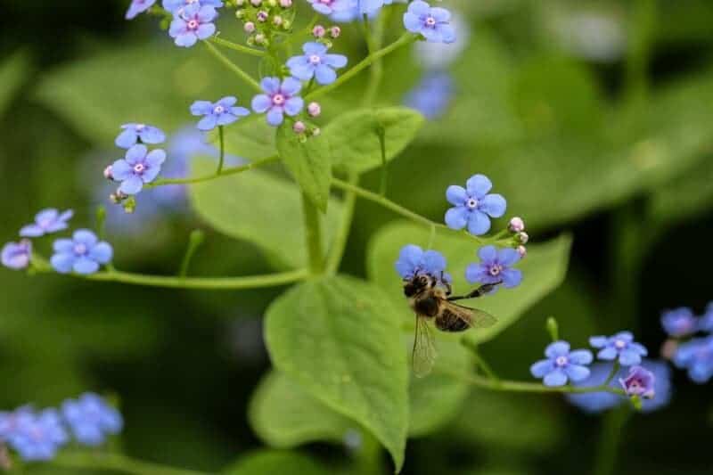 We Must Save Earth&#8217;s Wildlife In Order to Save Ourselves