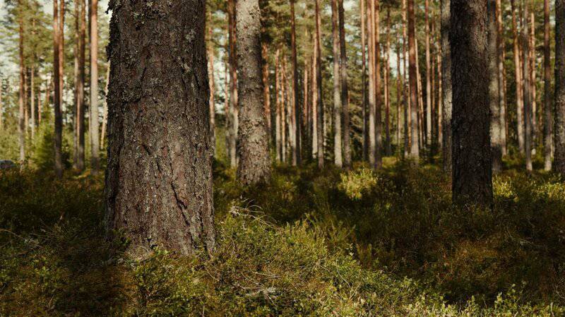 This Massive Canal Between the U.S. and Mexico Sounds Amazing &#8211; Until You See the Hidden Costs